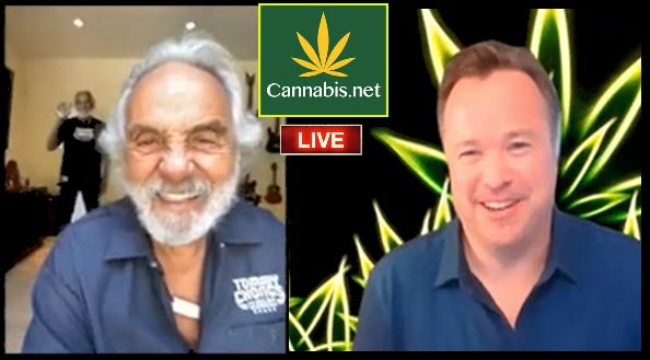 TOMMY CHONG ON CANNABIS.NET
